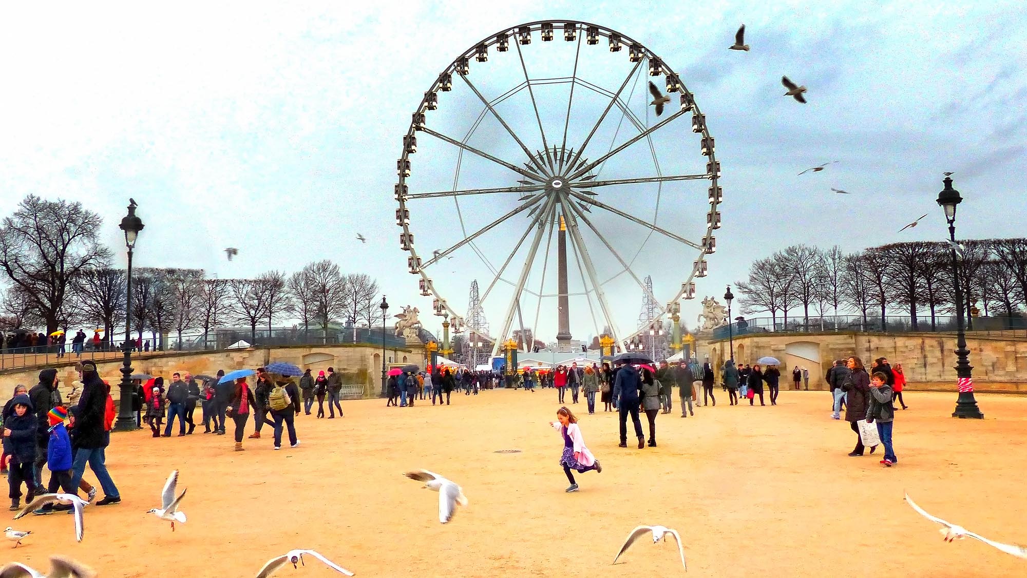 Free Wheeling in Paris - A Ray Martin Print