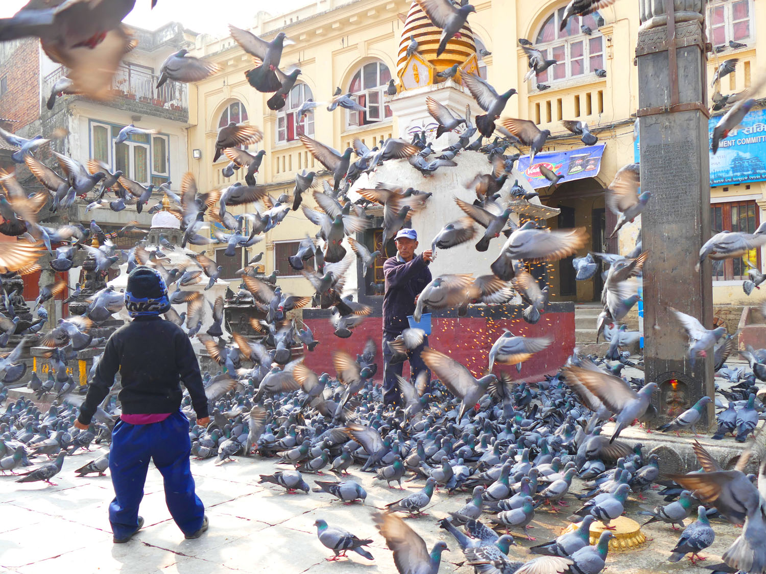 Birdman of Kathmandu - A Ray Martin Print